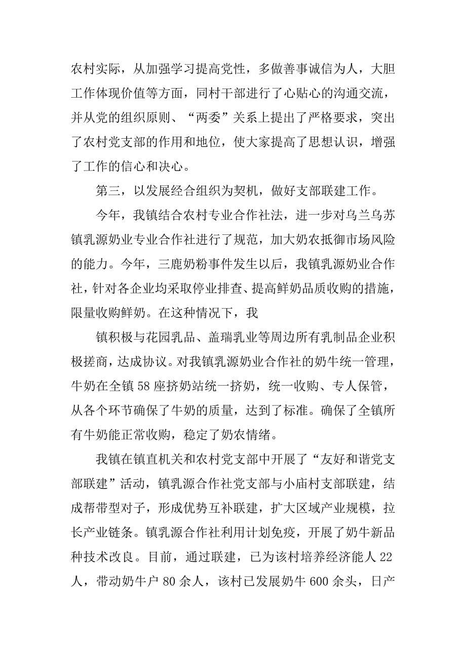 党组织述职报告.doc_第5页