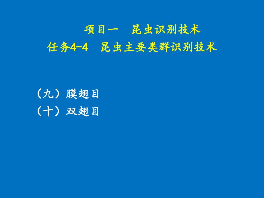 项目一--任务4-4--昆虫主要类群识别技术_第1页