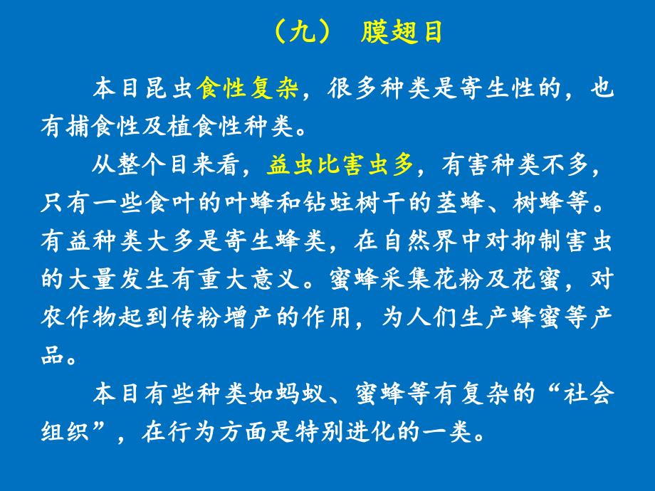 项目一--任务4-4--昆虫主要类群识别技术_第4页