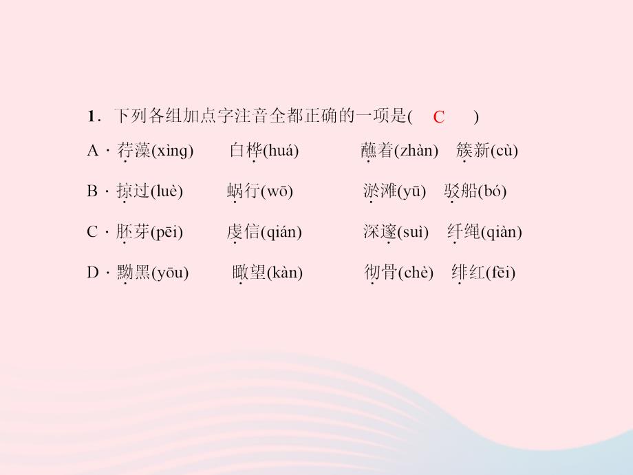 九年级语文下册 期末专题复习一 语音与汉字习题课件 （新版）新人教版_第3页