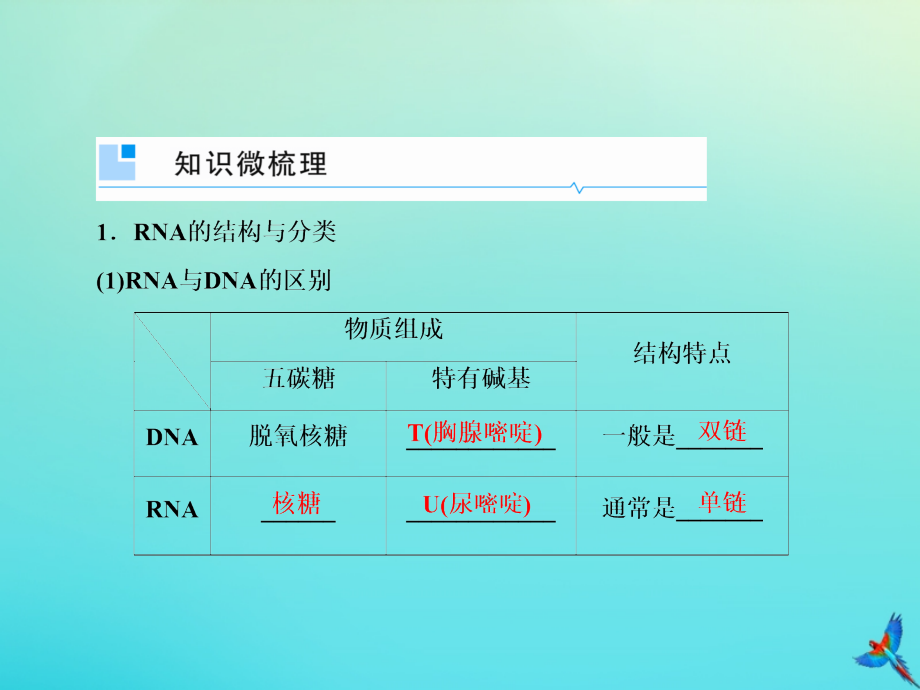 2020高考生物一轮复习 6.3 基因的表达课件_第4页