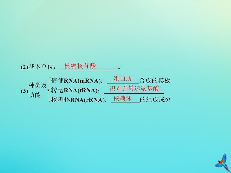 2020高考生物一轮复习 6.3 基因的表达课件_第5页