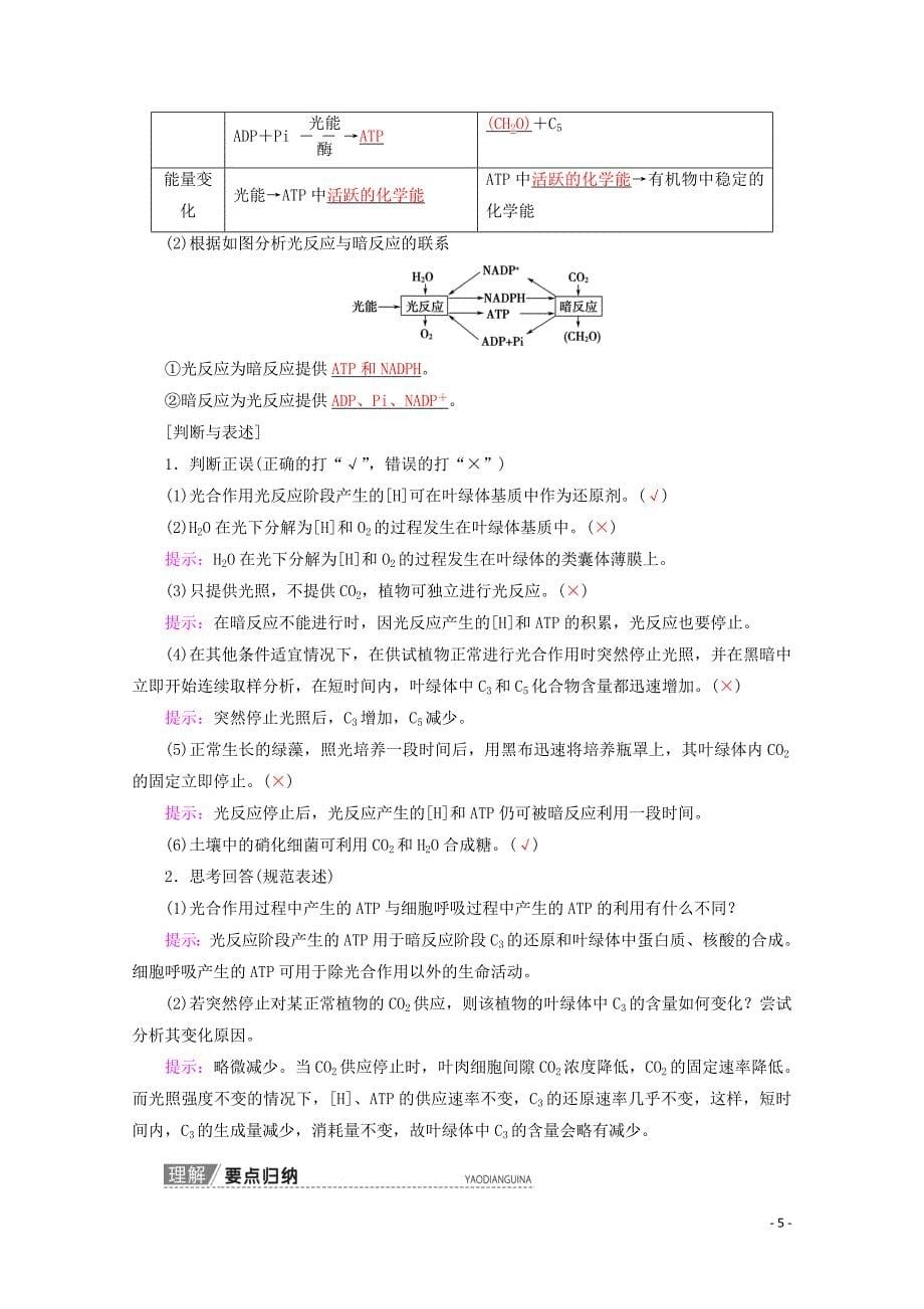 2020版高考生物一轮复习 第3单元 第2讲 光合作用（ⅰ）教学案 苏教版必修1_第5页