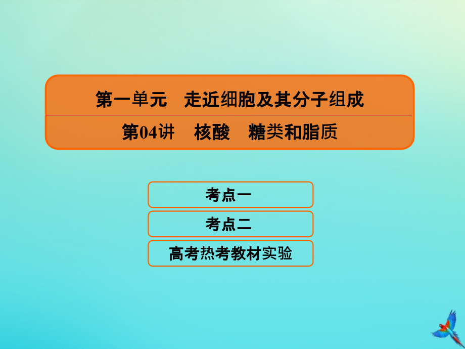 2020高考生物一轮复习 1.4 核酸 糖类和脂质课件_第1页