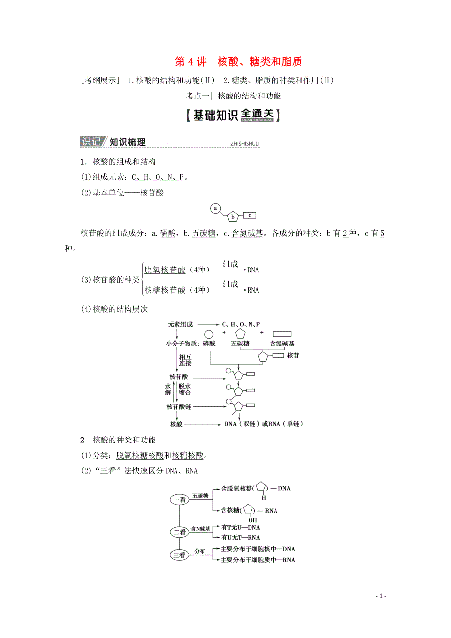 2020版高考生物一轮复习 第1单元 第4讲 核酸、糖类和脂质教学案 新人教版_第1页