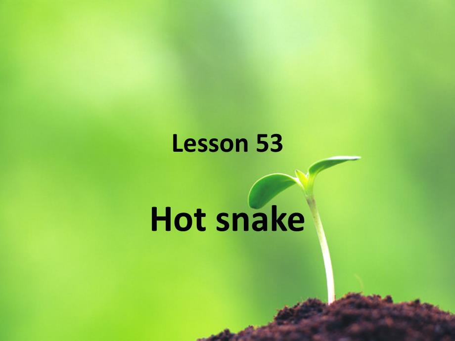 新概念第二册lesson53-hot-snake_第1页