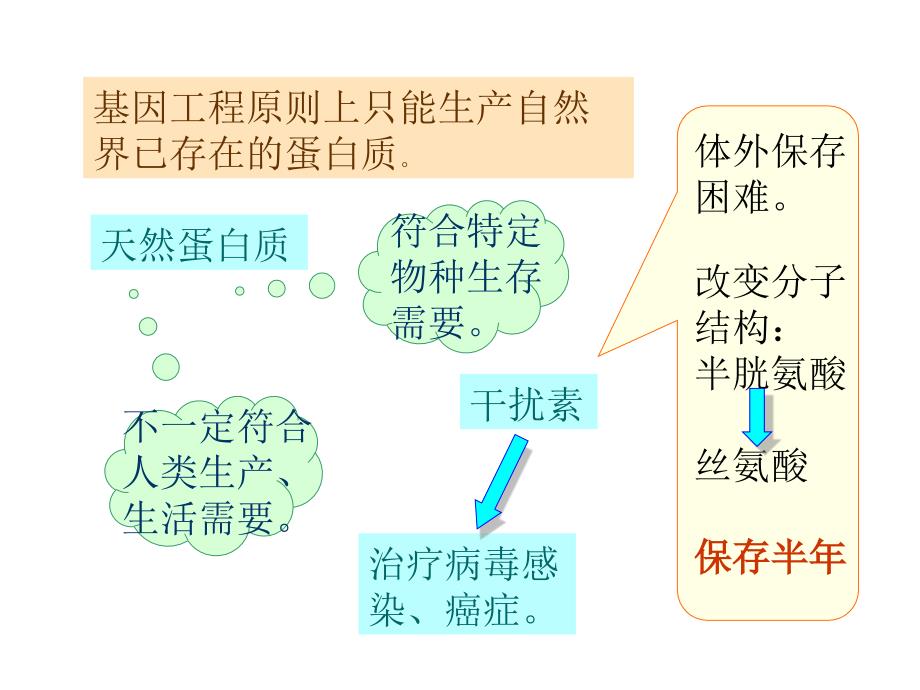 §1.4蛋白质工程的崛起_第4页