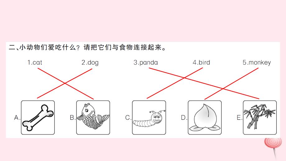 三年级英语上册 unit 4 we love animals part b第三课时习题课件 人教pep_第3页