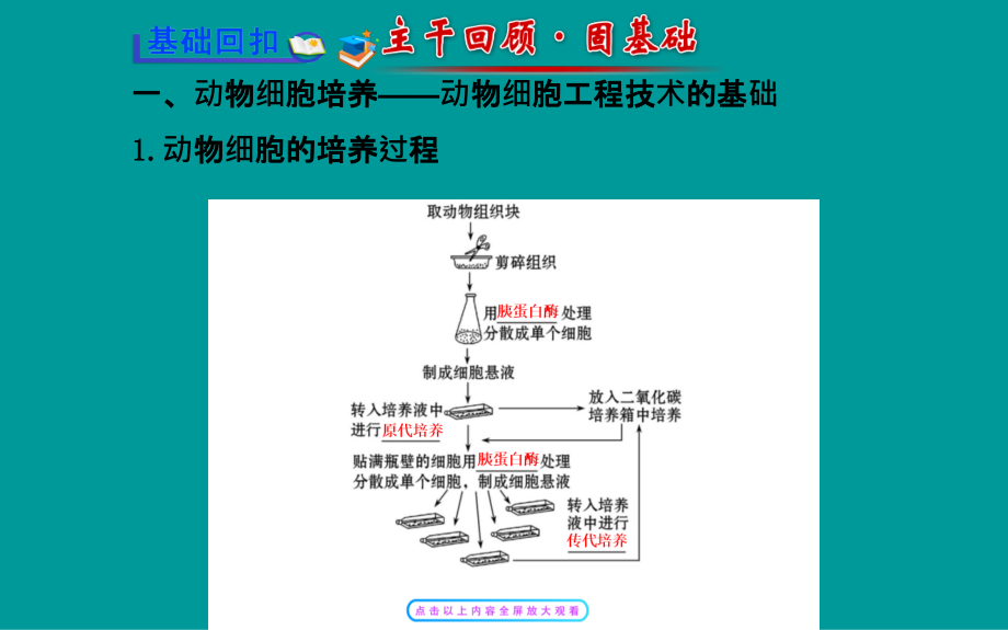 2014届高考生物一轮复习金榜课件知识概览+主干回顾+核心归纳28套2014届高考生物一轮复习金榜课件知识概览+主干回顾+核心归纳选修3专题22动物细胞工程共62张_第2页