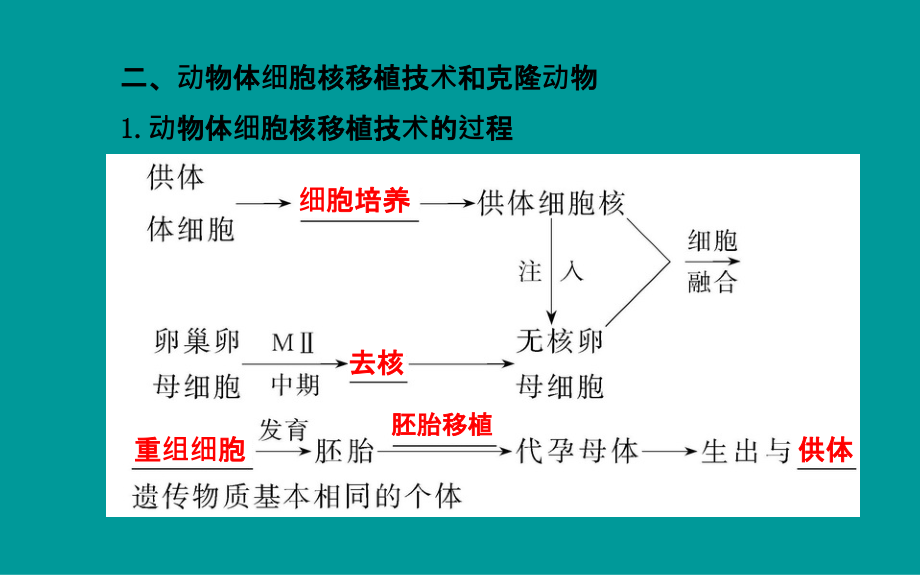 2014届高考生物一轮复习金榜课件知识概览+主干回顾+核心归纳28套2014届高考生物一轮复习金榜课件知识概览+主干回顾+核心归纳选修3专题22动物细胞工程共62张_第4页