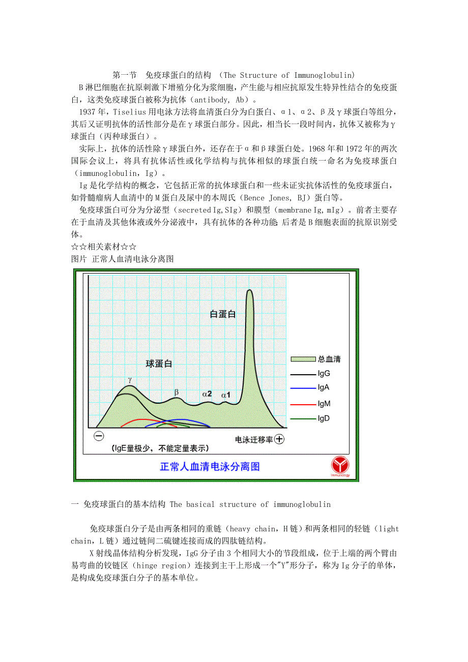 免疫球蛋白的结构_第1页