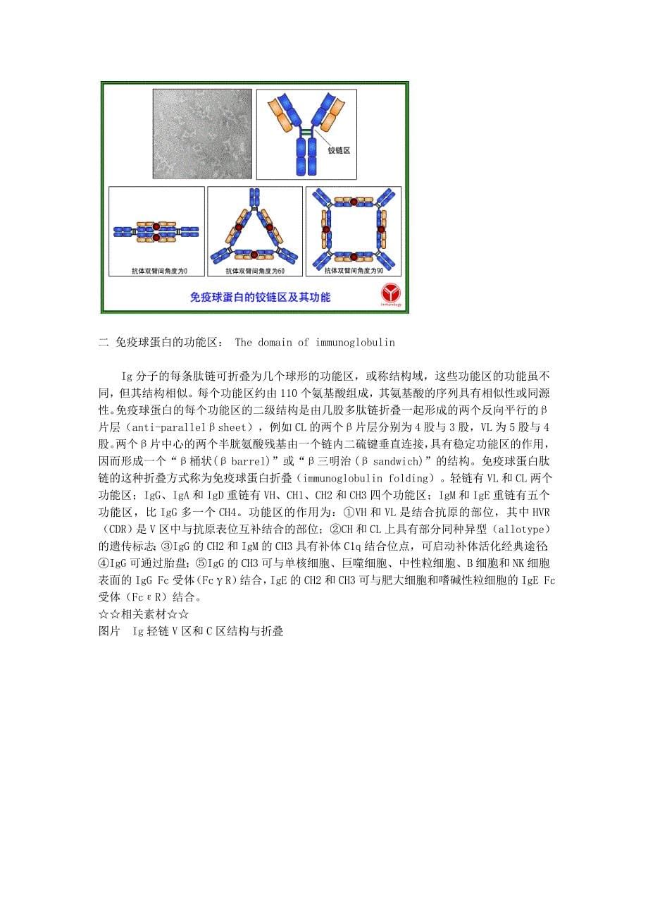 免疫球蛋白的结构_第5页