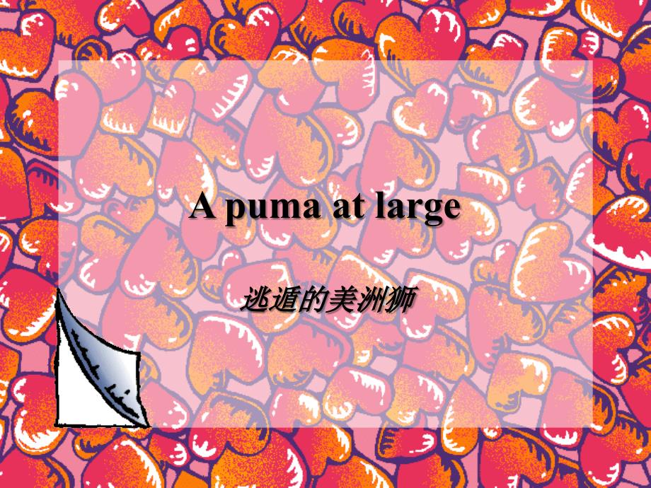新概念第三册第一课《a-puma-at-large》_第2页