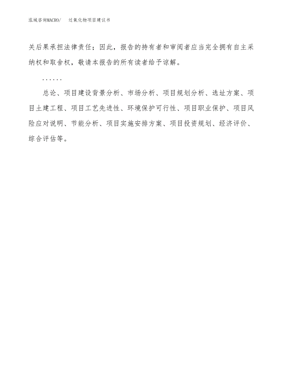 过氧化物项目建议书（总投资13000万元）.docx_第2页