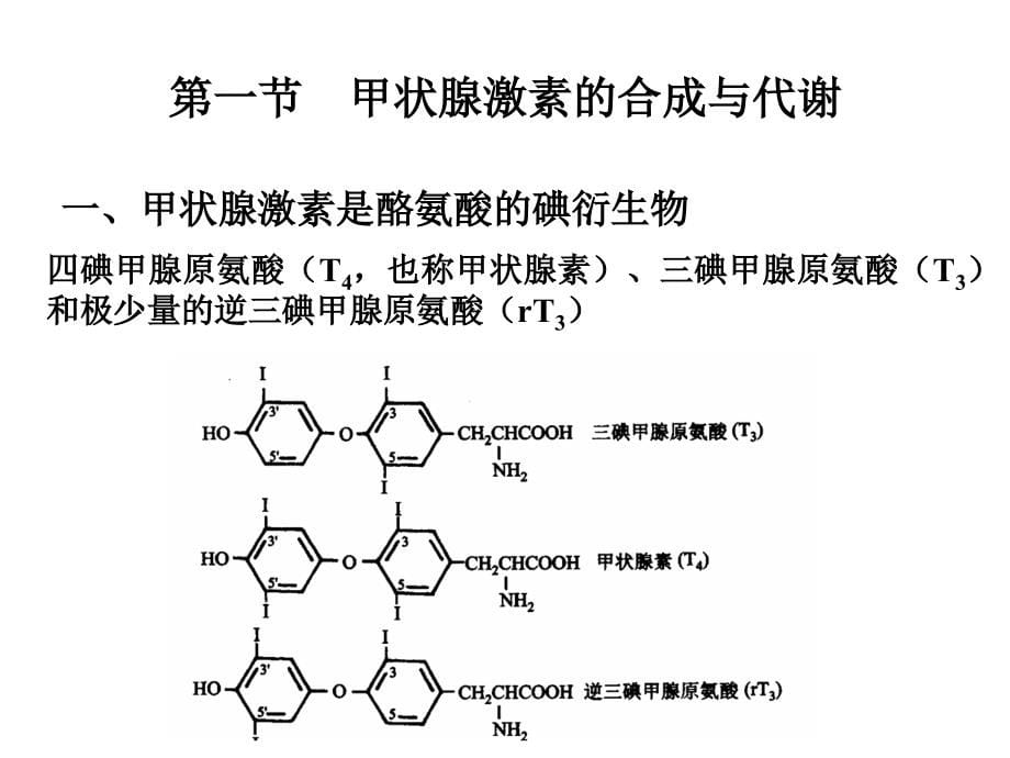 §3第十篇内分泌2章节_第5页