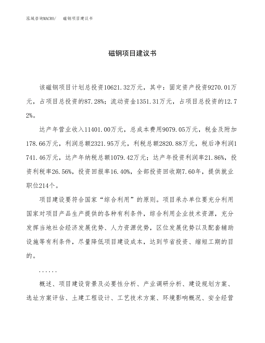 磁钢项目建议书（总投资11000万元）.docx_第1页