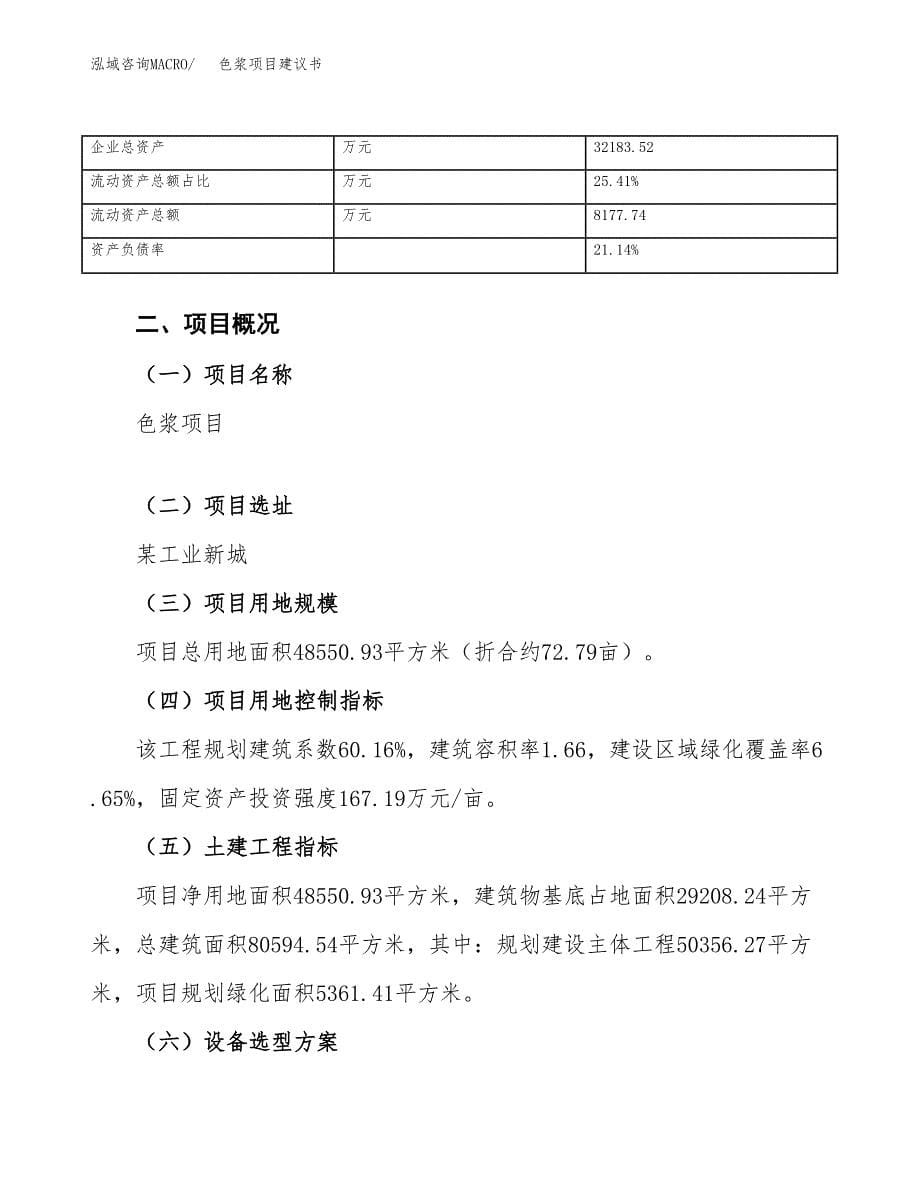 色浆项目建议书（73亩）.docx_第5页