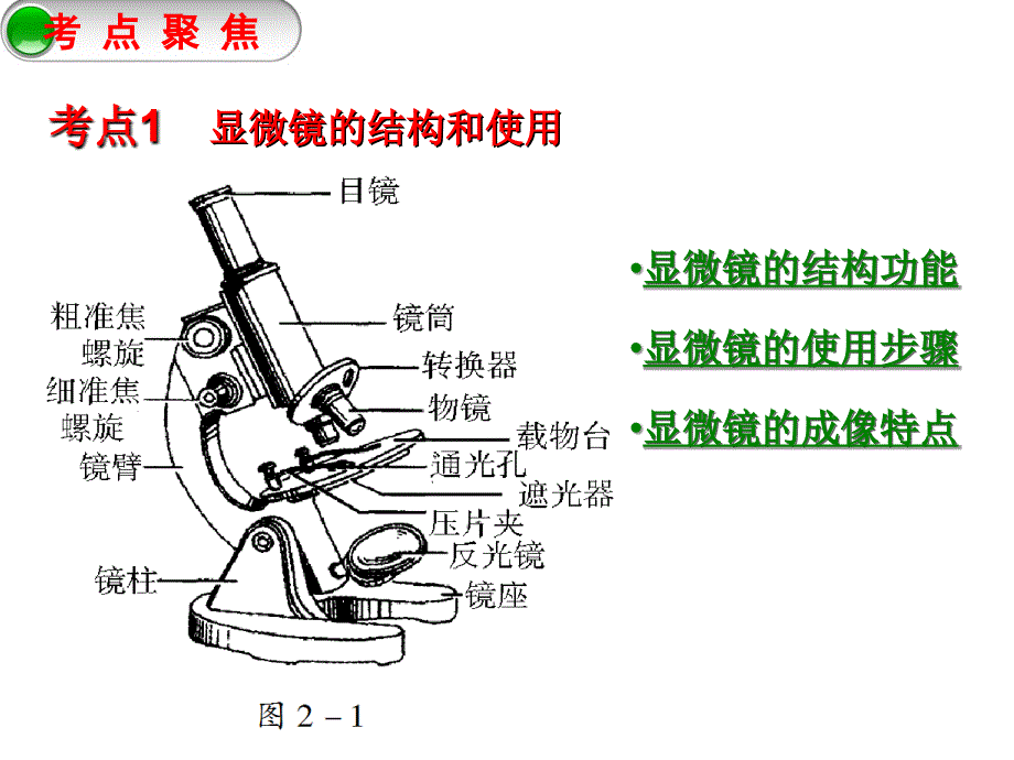 专题复习一-生物体的结构层次_第4页