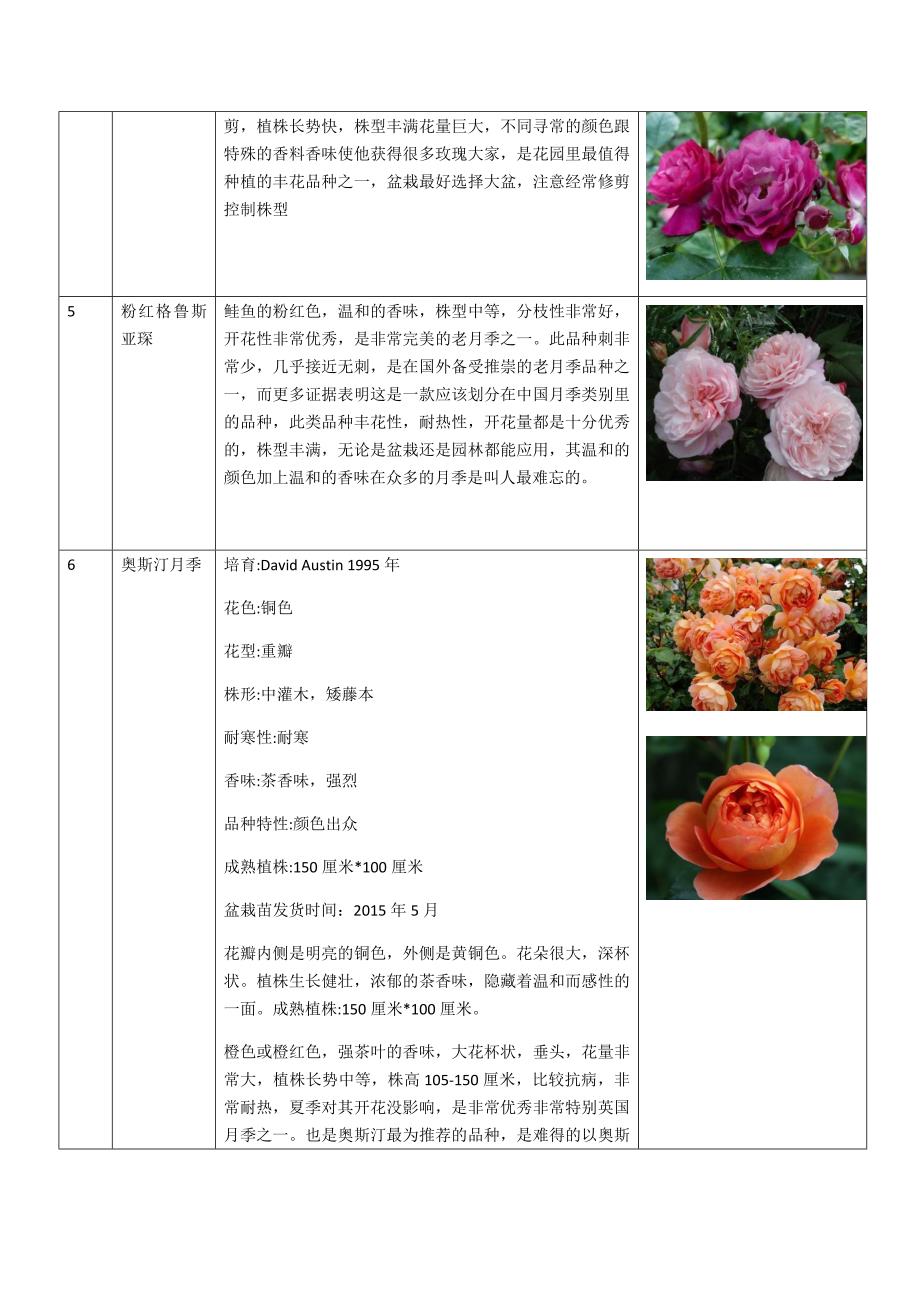 最全的全世界各种月季花品种大全-附月季花图片_第2页