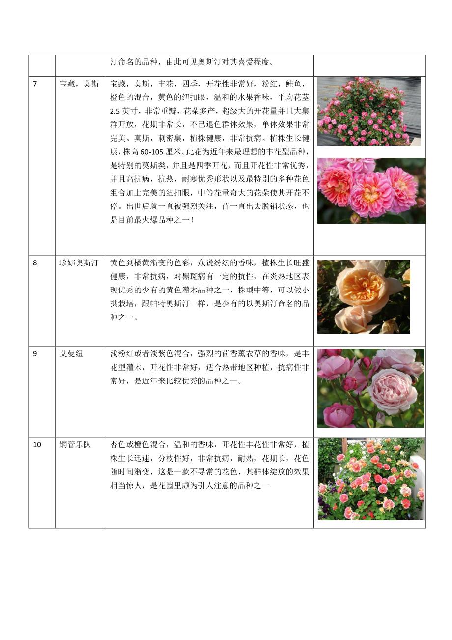 最全的全世界各种月季花品种大全-附月季花图片_第3页