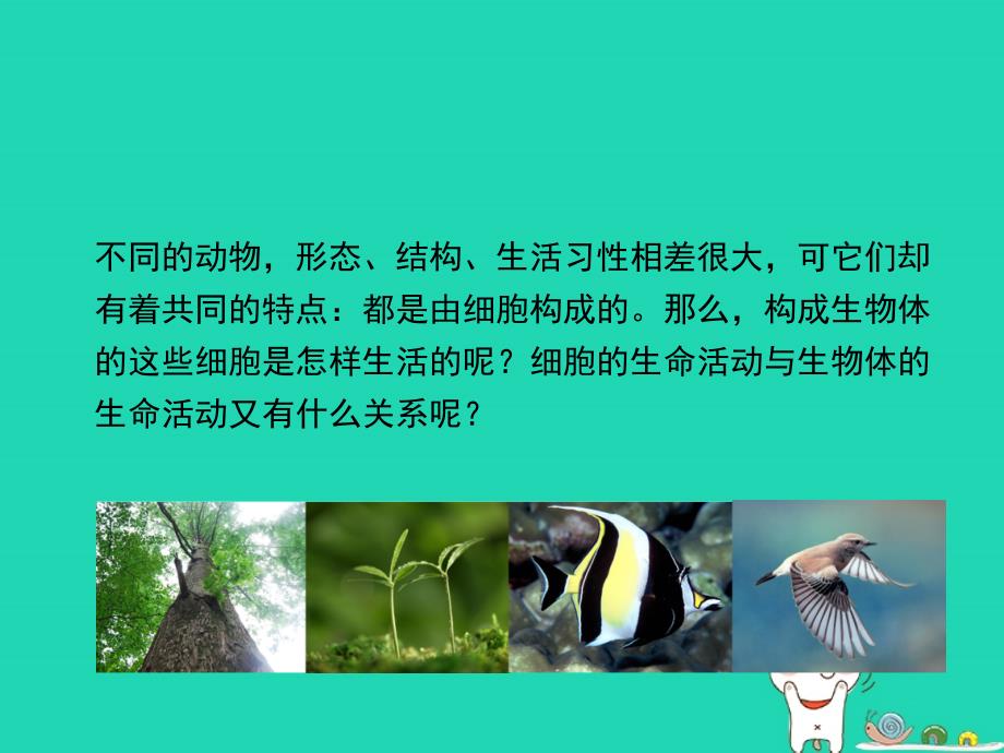 七年级生物上册_2.2.2《细胞是生命活动的单位》课件1 （新版）新人教版_第2页