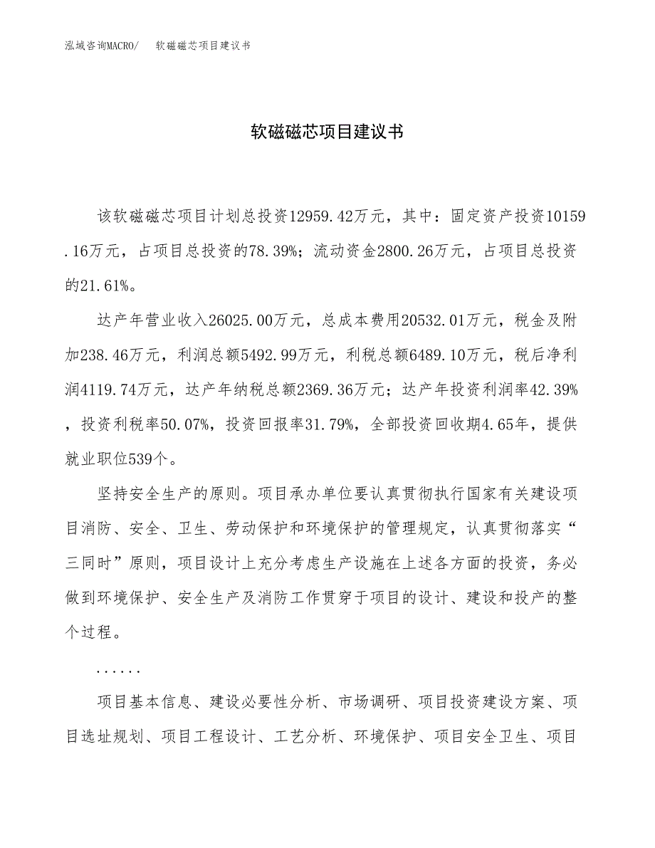 软磁磁芯项目建议书（总投资13000万元）.docx_第1页