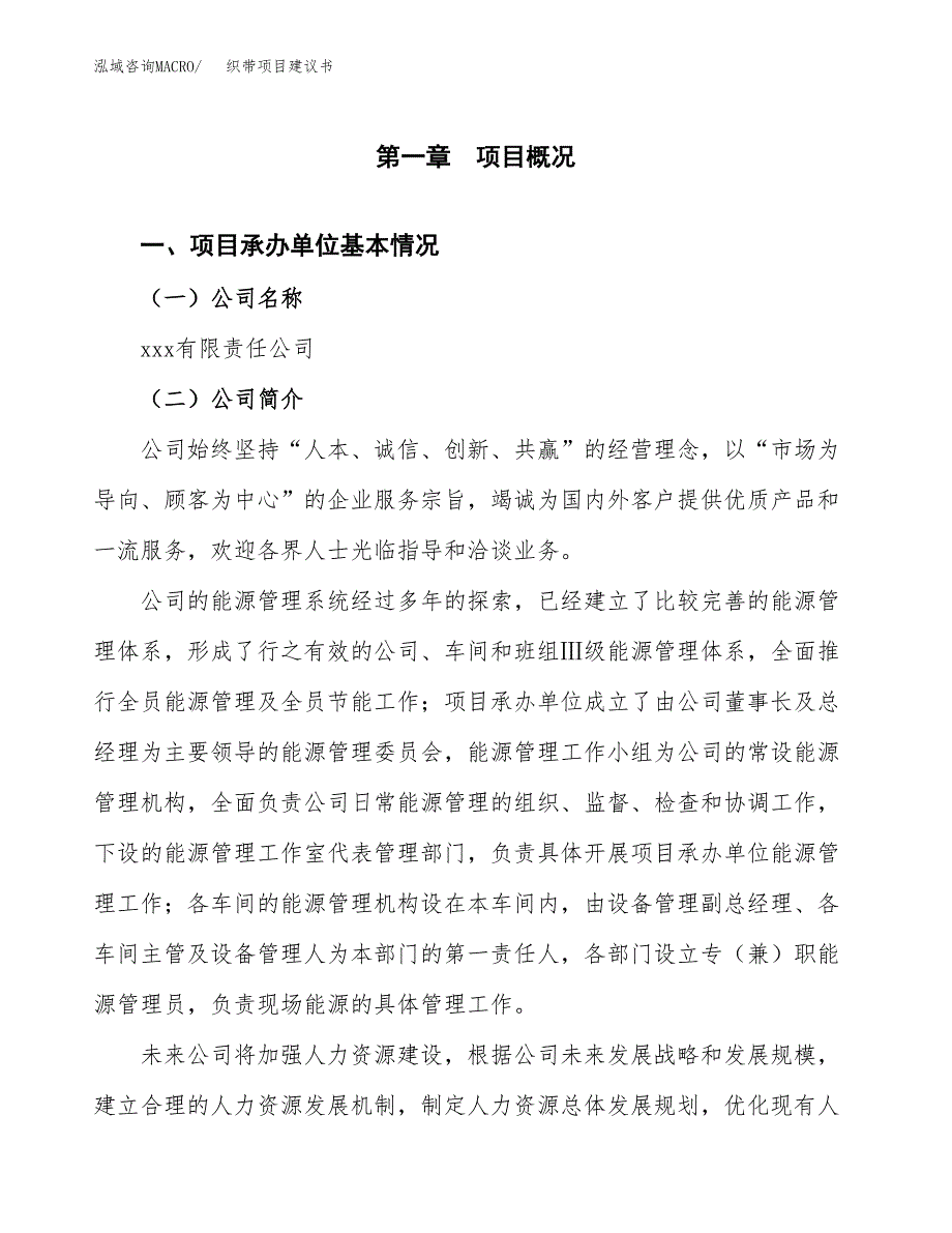 织带项目建议书（48亩）.docx_第2页