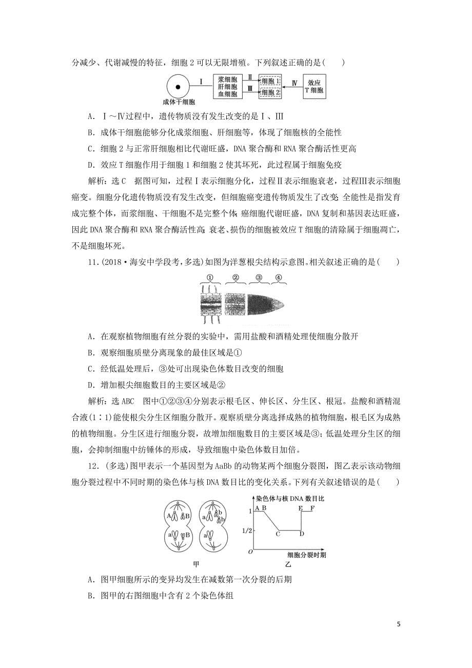 （江苏专版）2019版高考生物二轮复习 专题一 细胞 主攻点之（三）细胞的生命历程练习（含解析）_第5页