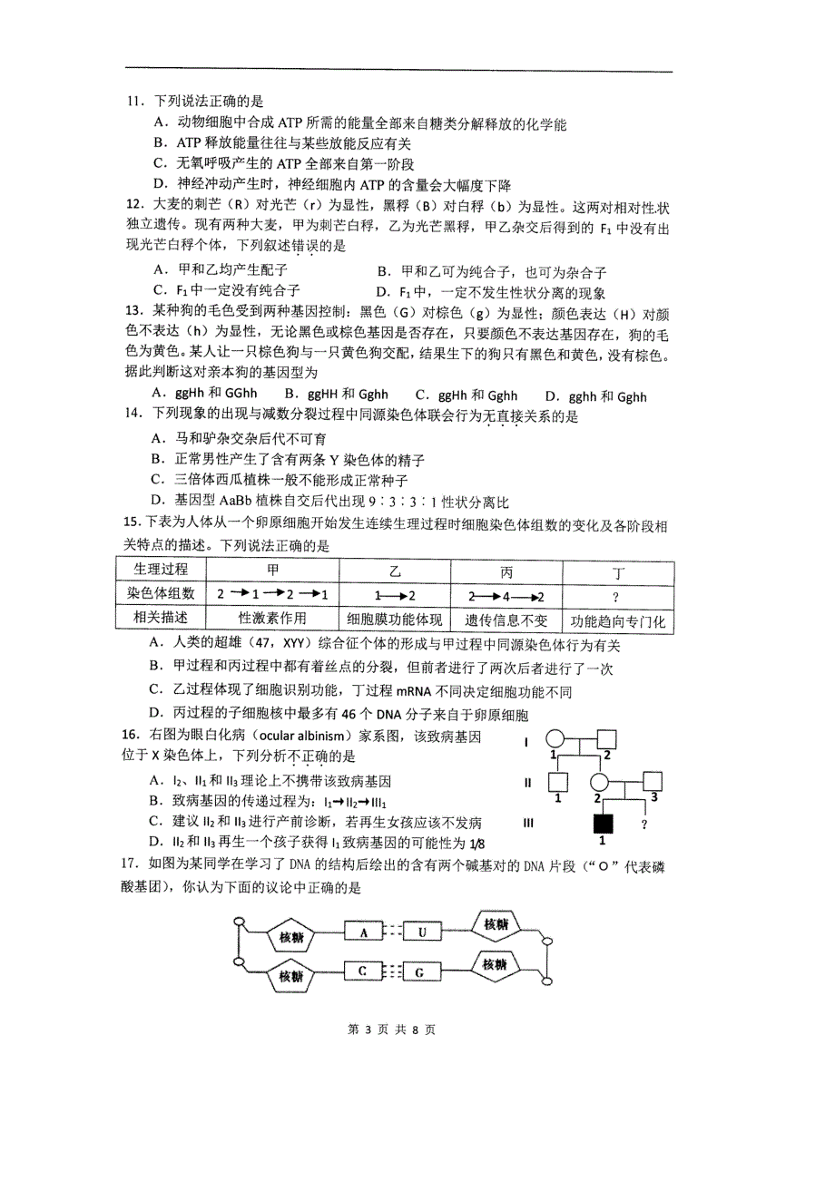 河南省2018-2019学年高二生物下学期开学考试试题（pdf）_第3页