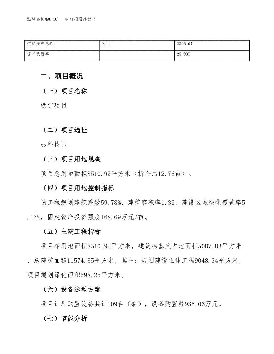 铁钉项目建议书（总投资3000万元）.docx_第5页