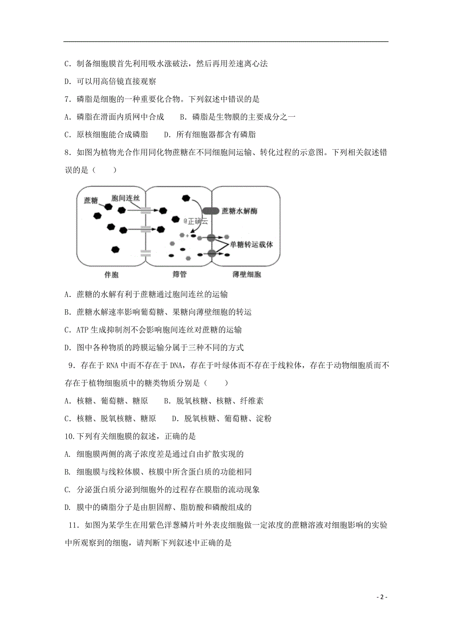 河北省辛集一中2018-2019学年高二生物4月月考试题_第2页