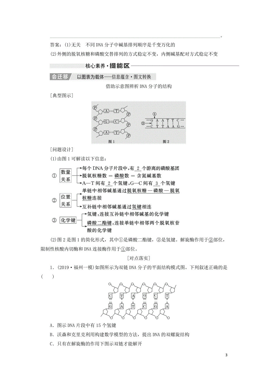 （通用版）2020版高考生物一轮复习 第六单元 第二讲 dna分子的结构、复制与基因的本质学案（含解析）_第3页