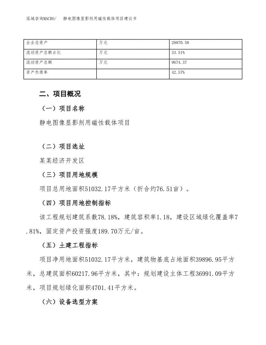 静电图像显影剂用磁性载体项目建议书（77亩）.docx_第5页