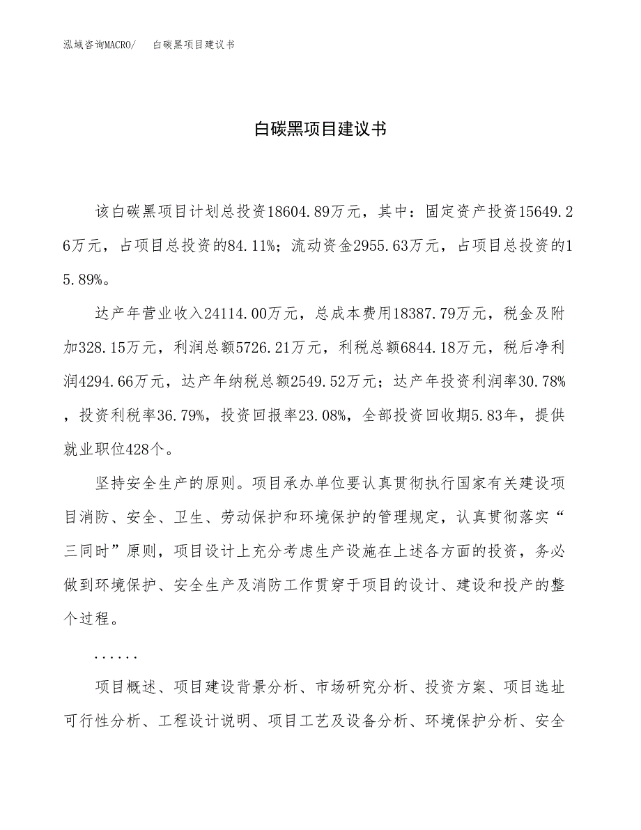 白碳黑项目建议书（总投资19000万元）.docx_第1页