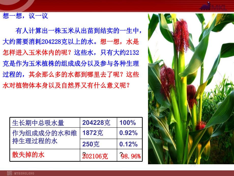 §3.3.0绿色植物参与生物圈的水循环绿色植物参与生物圈的水循环_第2页