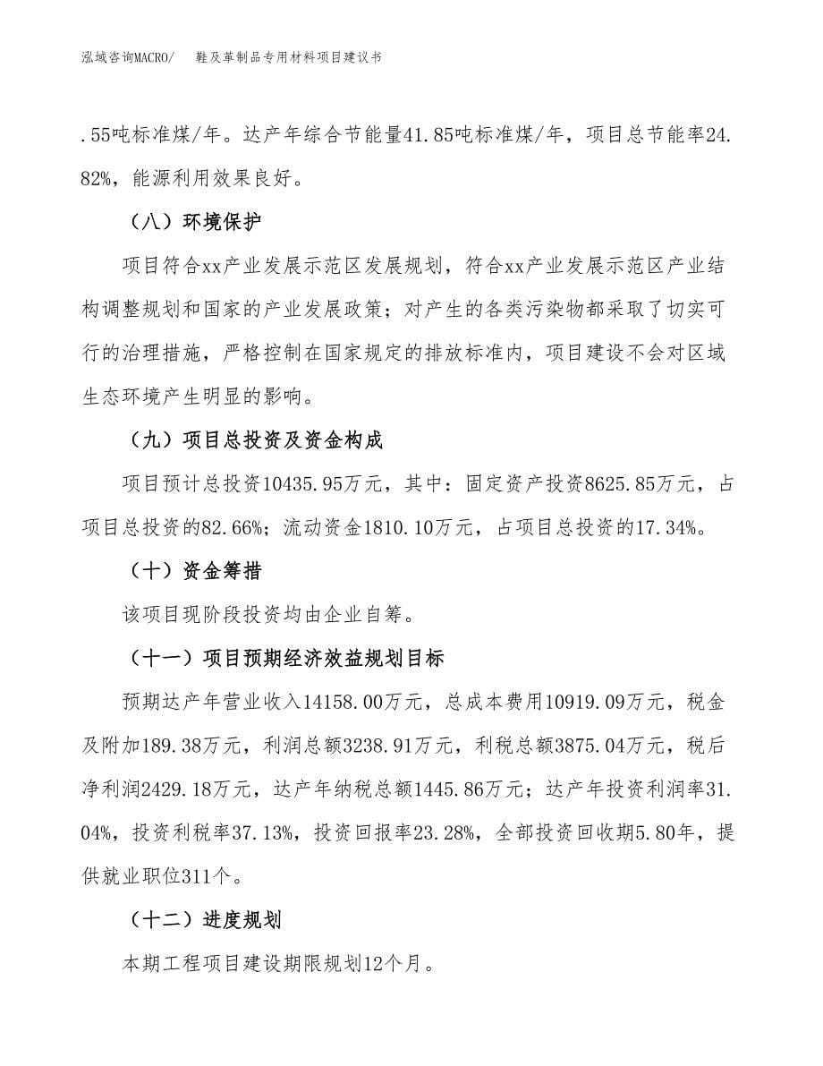 鞋及革制品专用材料项目建议书（68亩）.docx_第5页