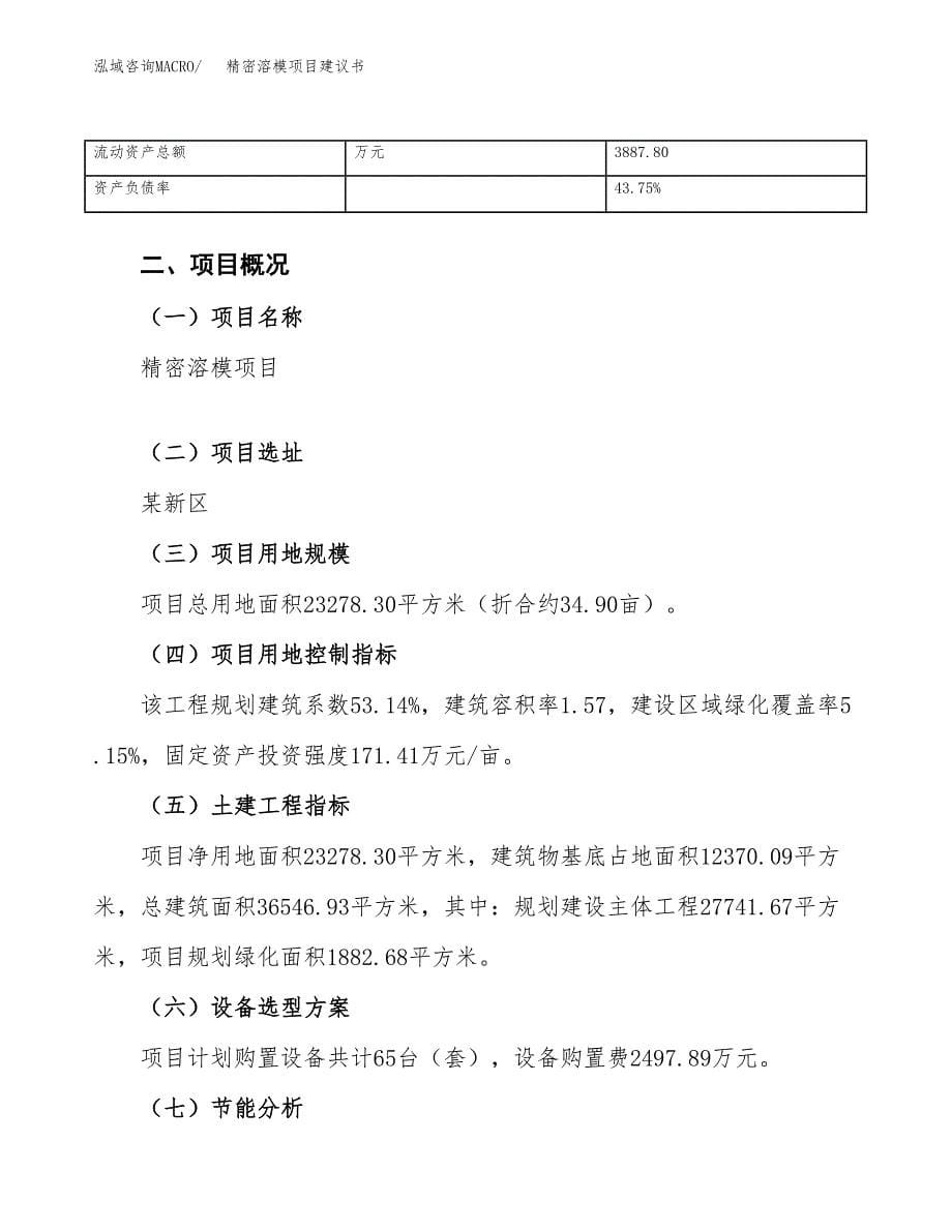 精密溶模项目建议书（总投资9000万元）.docx_第5页