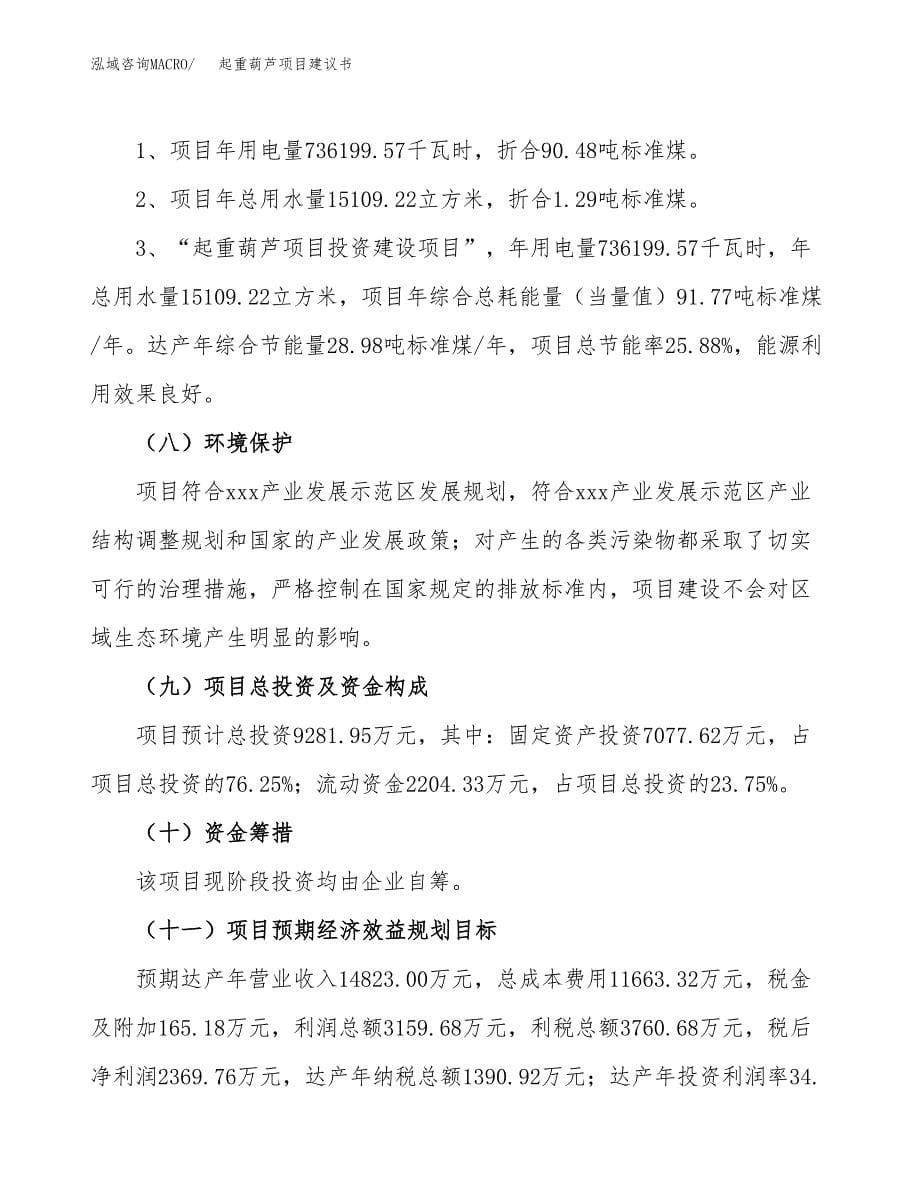 起重葫芦项目建议书（42亩）.docx_第5页