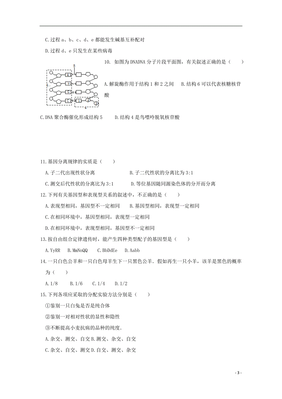 河北省2018-2019学年高一生物下学期期中试题_第3页