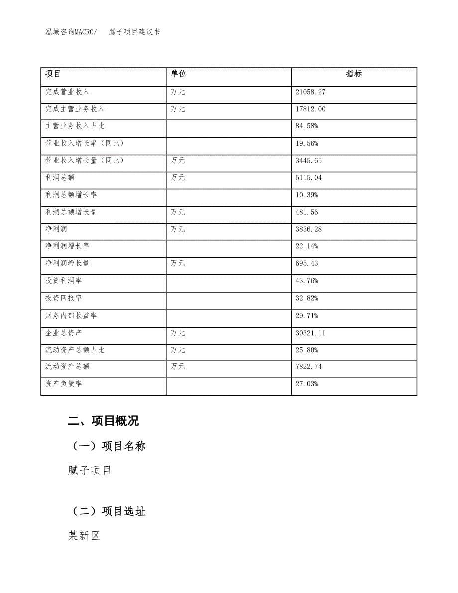 腻子项目建议书（69亩）.docx_第5页