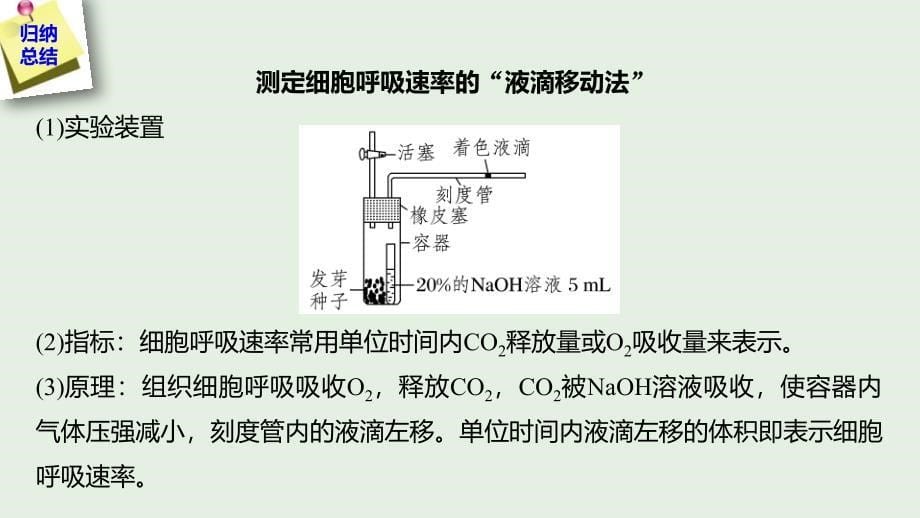 （江苏专用）2020版高考生物新导学大一轮复习 第三单元 光合作用和细胞呼吸 热点题型二 细胞呼吸速率和光合作用速率的测定实验分析课件 苏教版_第5页