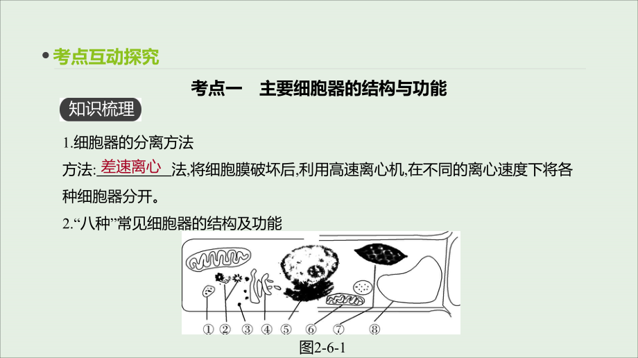 （全国通用）2020届高考生物优选大一轮复习 第2单元 细胞的结构与物质的运输 第6讲 细胞器与生物膜系统课件_第3页