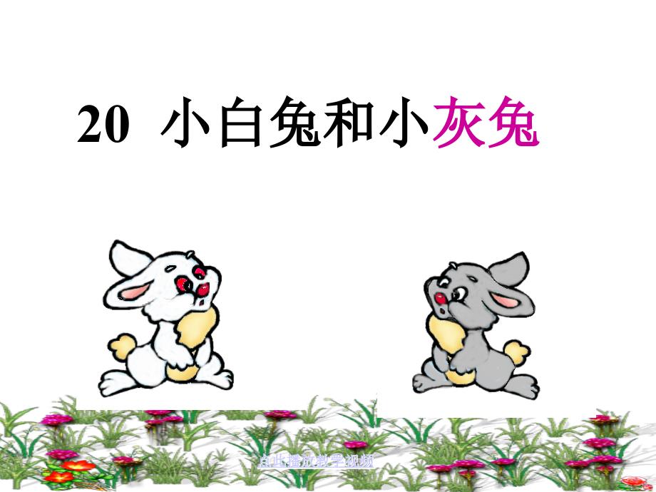§20小白兔和小灰兔_第1页