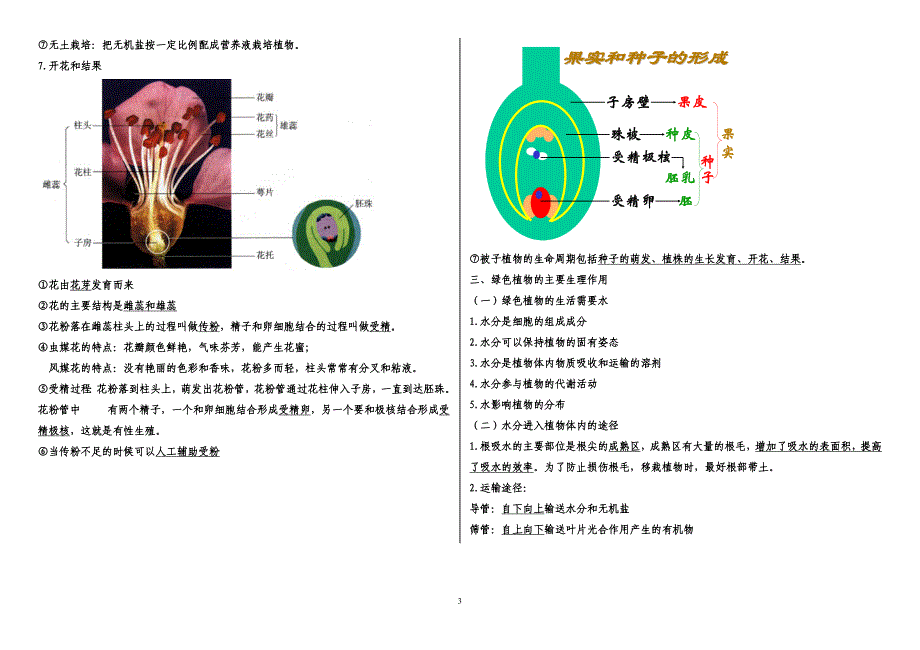 六年级下册生物复习提纲_第3页