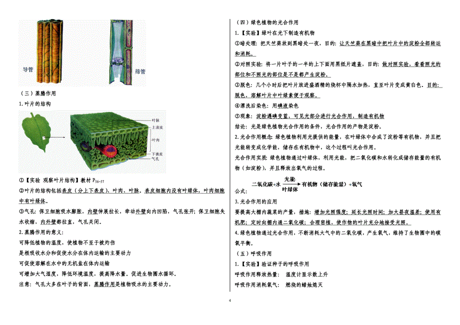 六年级下册生物复习提纲_第4页