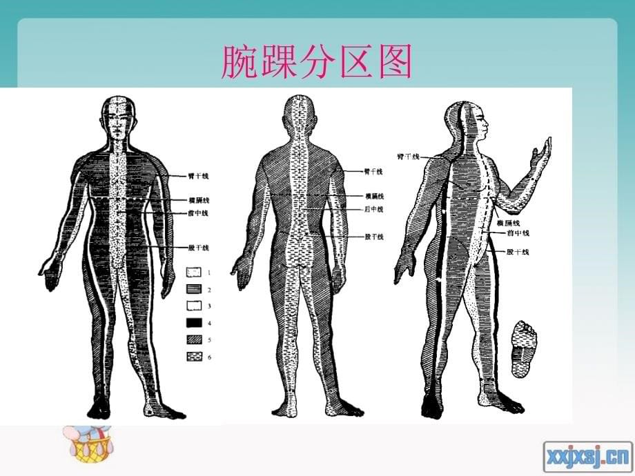 腕踝针法、_第5页