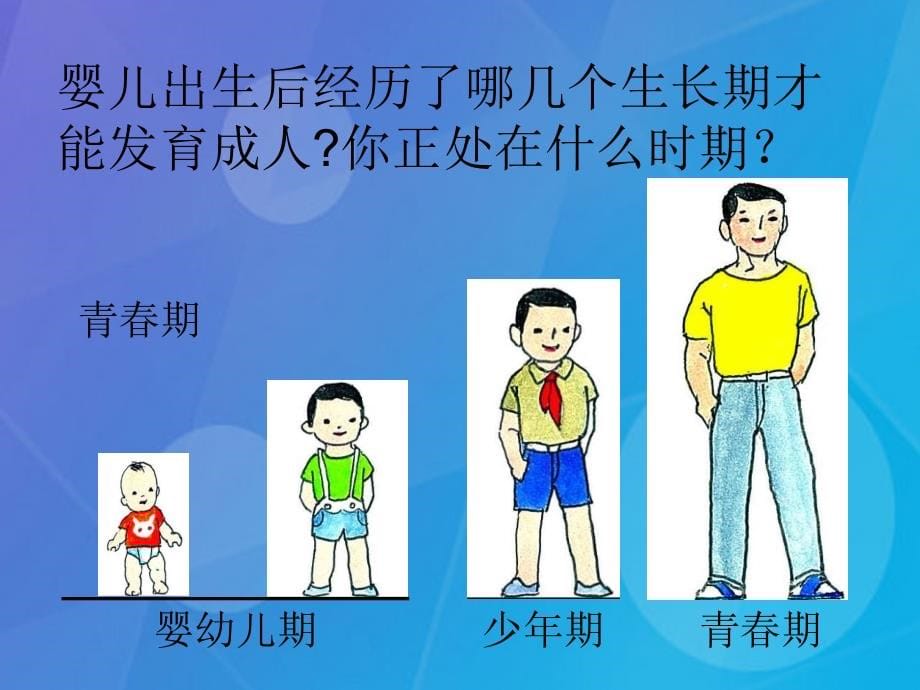 七年级科学下册_1.2《走向成熟》课件5 浙教版_第5页