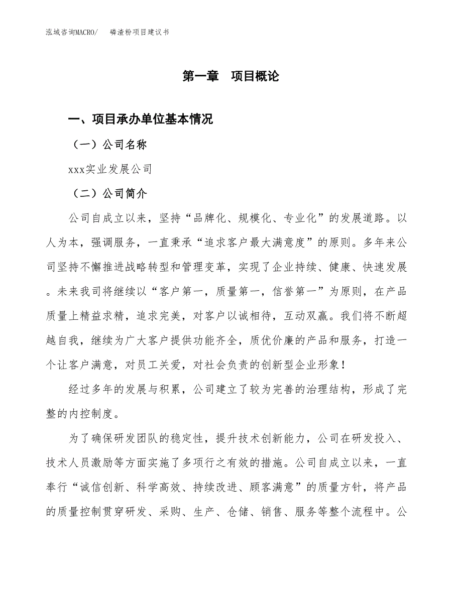 磷渣粉项目建议书（总投资10000万元）.docx_第2页