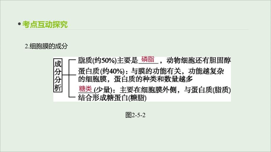 （全国通用）2020届高考生物优选大一轮复习 第2单元 细胞的结构与物质的运输 第5讲 细胞膜与细胞核课件_第4页