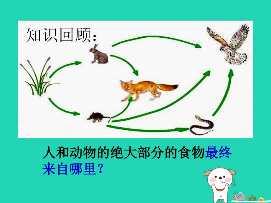 2018年七年级生物上册_3.4《绿色植物是生物圈中有机物的制造者》课件4 （新版）新人教版_第1页